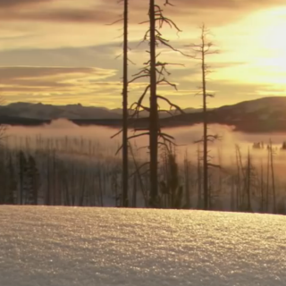 Christmas in Yellowstone | Nature | PBS